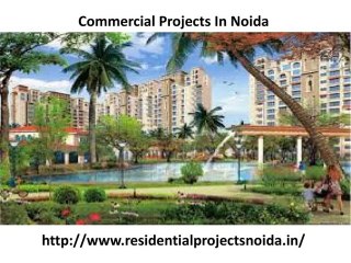New Residential Projects In Noida