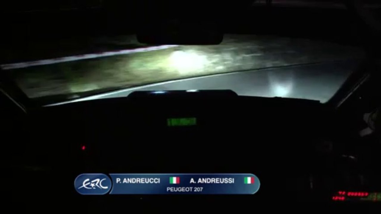 ERC SANREMO Andreucci onboard
