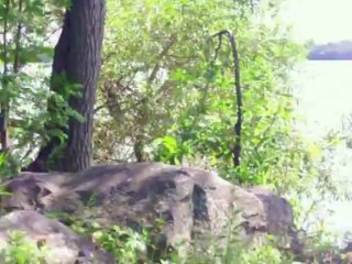 NADINE TIBI - WHAT ARE YOU DOING THE REST OF YOUR LIFE