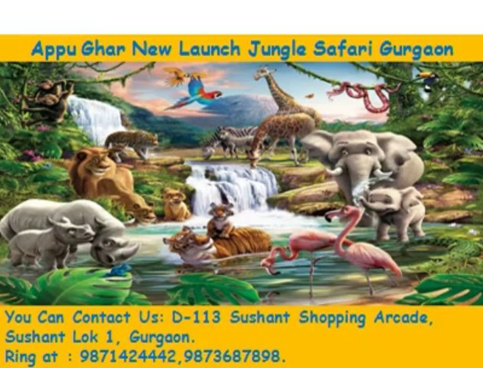 Appu ghar:Nec::jungle Theme::9871424442:swiss cottage:safari