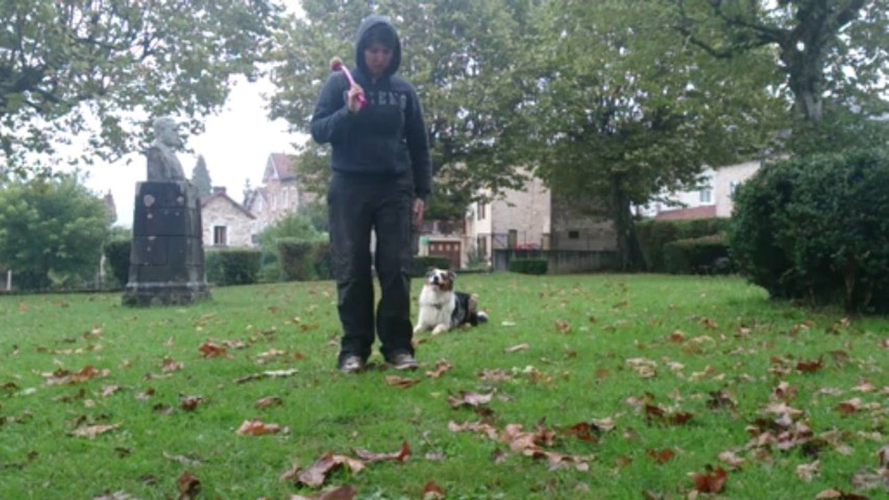 Spike training in the park (2)