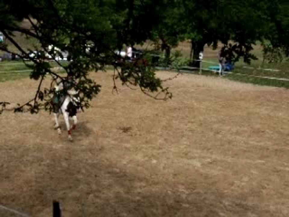 Saut carrière
