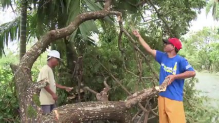 Le nord des Philippines balayé par le typhon Nari