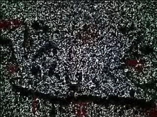 Clip koko molo