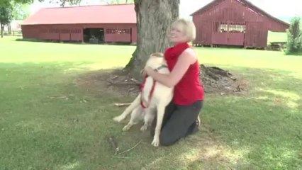 Best Reporter Animal News Bloopers