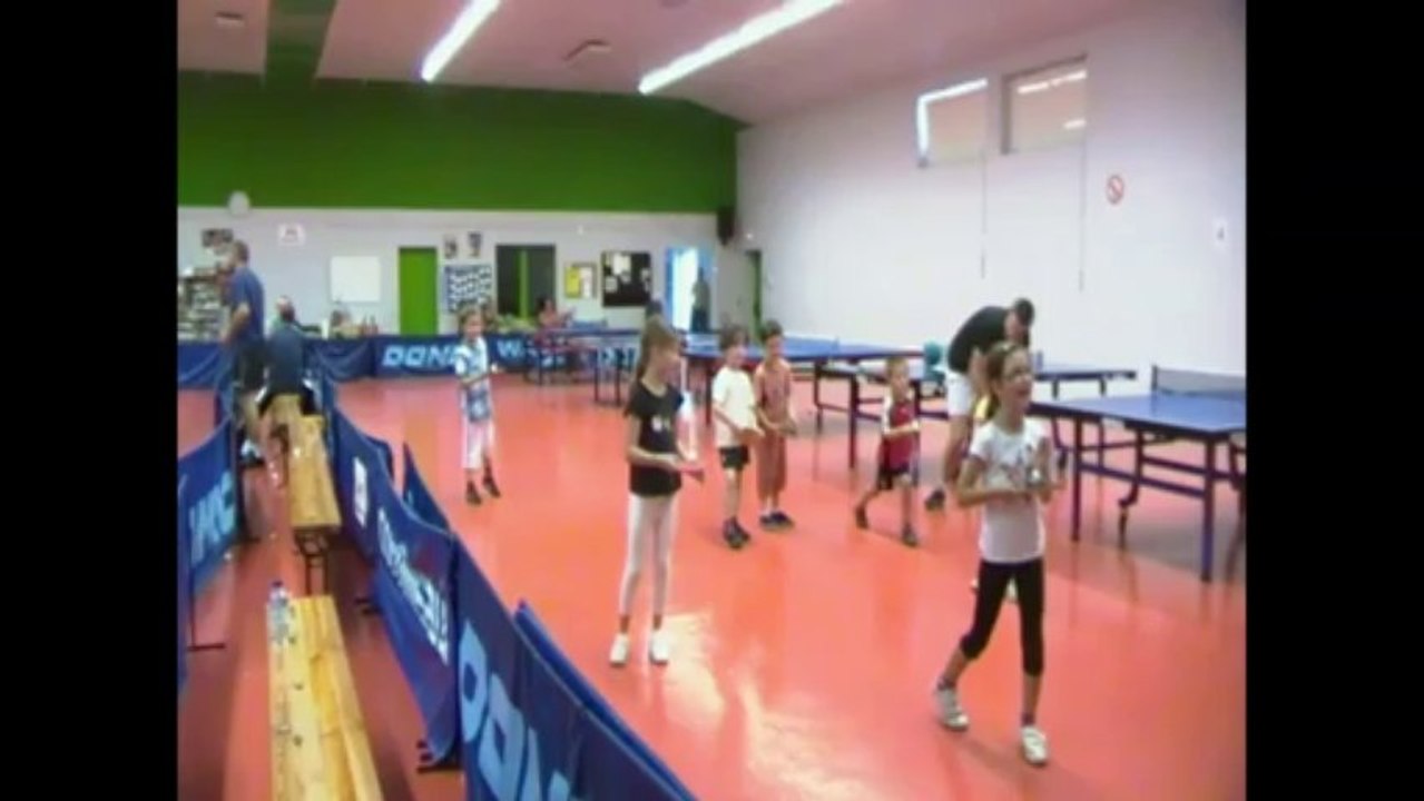 Présentation baby ping