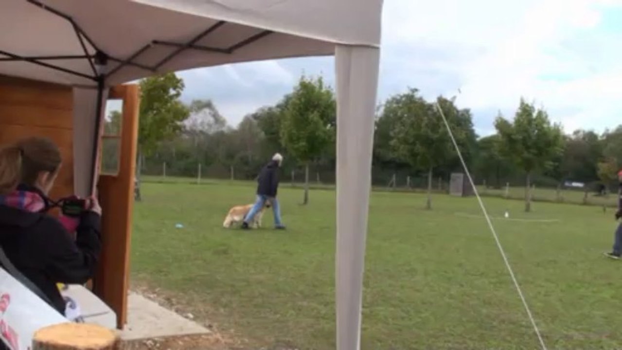 Haribo, 1er concours d'obéissance en classe 1