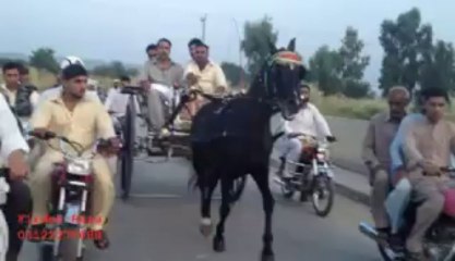 Asif khan and jabir khan horse ziddi malang jumma try 11-10-13