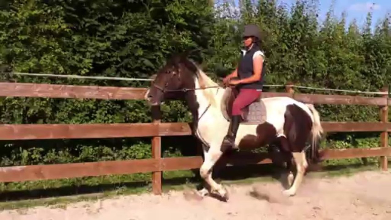 premiere séance sans mors