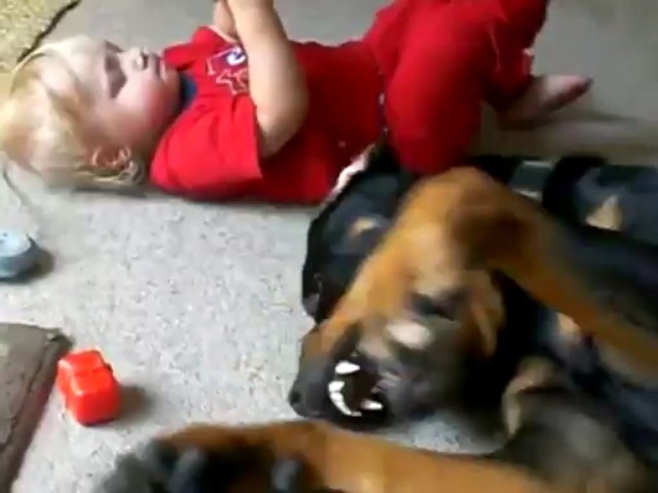 Baby's Best Friend - Funny Videos at Fully :)(: Silly