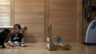 Cat Teaches Baby To Walk - Funny Videos at Fully :)(: Silly
