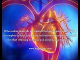 Heart Disease Treatment By Stem Cells, Does Heart Disease Treatment By Stem Cells Work