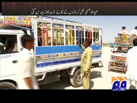 Geo FIR-12 Oct 2013-Part 1-Huge corruption unveiled on Eid-ul-adha…