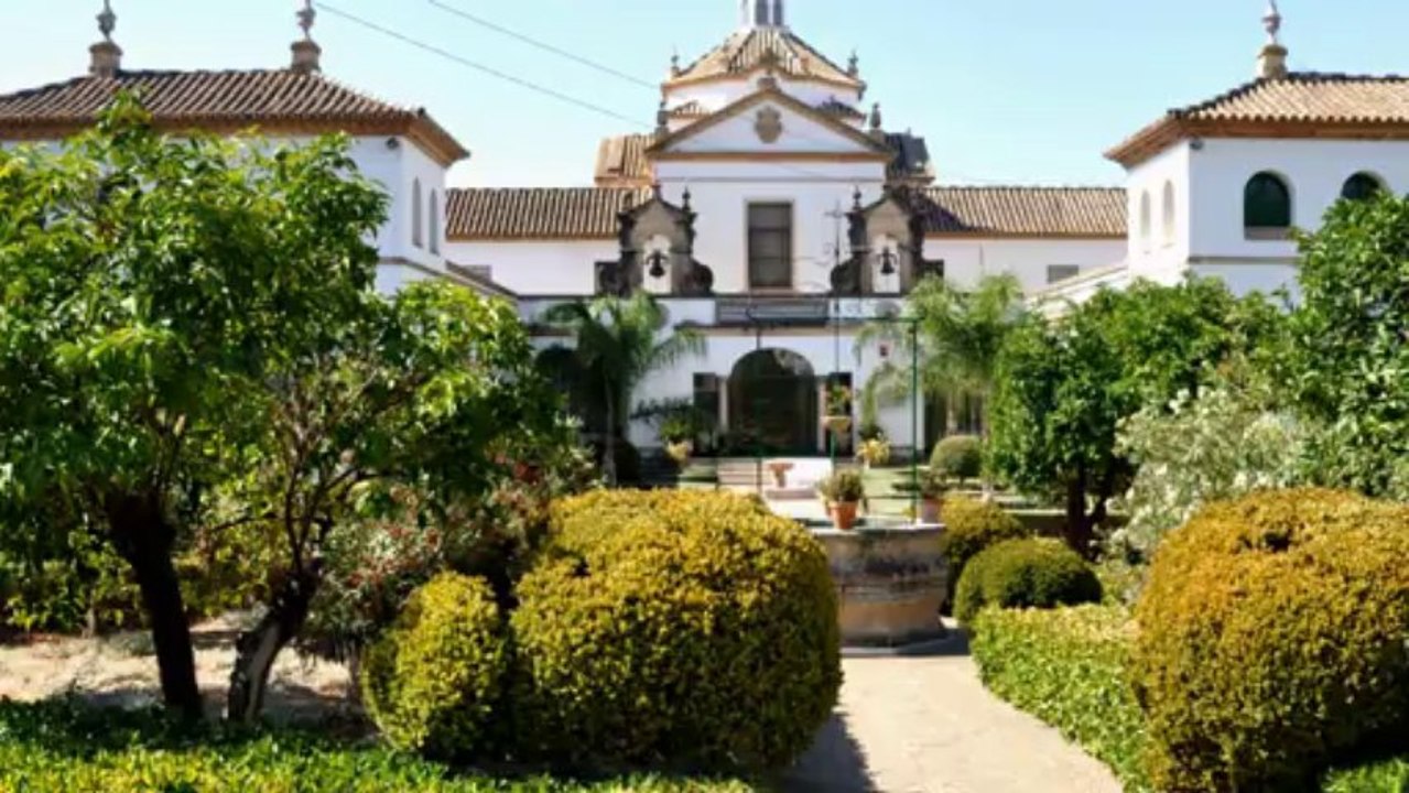 Un paseo por Montellano (Sevilla) 2013