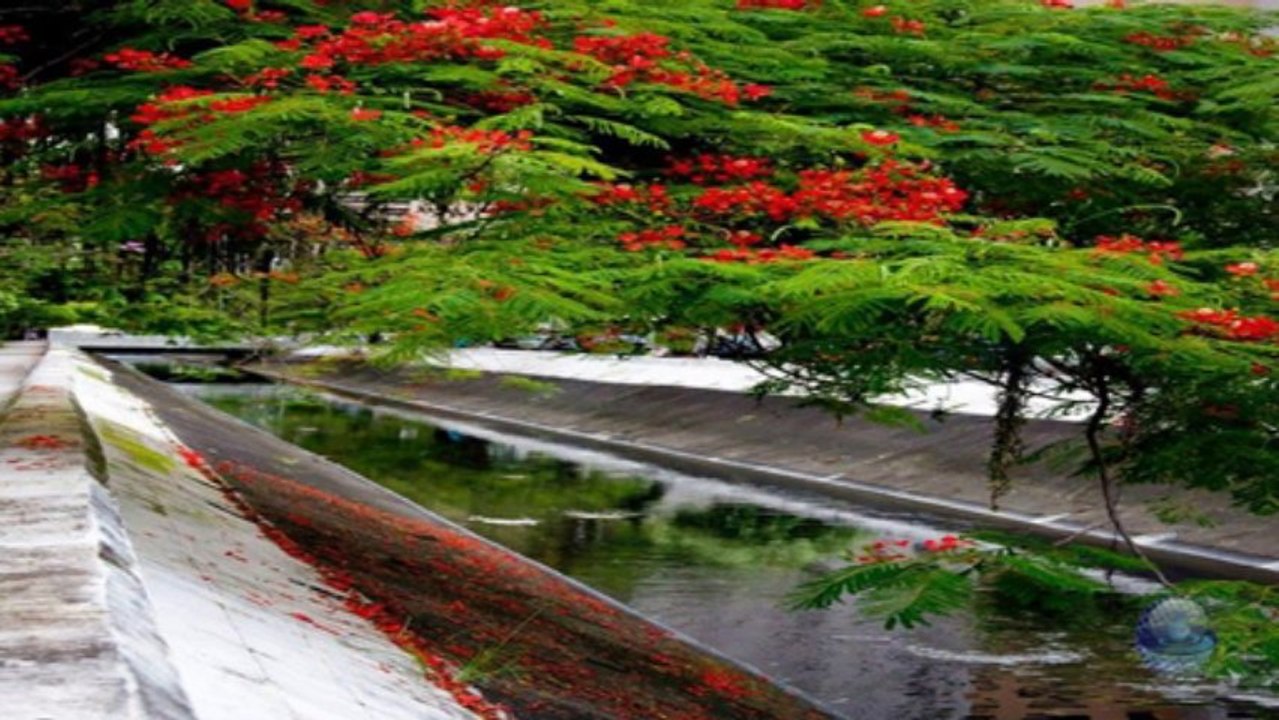 My sweet lord - Ray Conniff