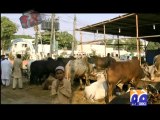 Geo FIR-12 Oct 2013-Part 4-Huge corruption unveiled on Eid-ul-adha…