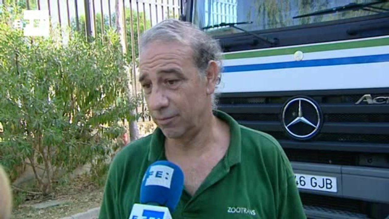 Trasladan a una elefanta del Bioparc a un zoo holandés