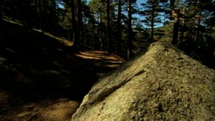 Las cumbres de guadarrama escalan al "top 15" de los espacios protegidos