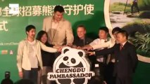 Se buscan jóvenes pambajadores para preservar a los osos panda