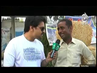 Target - 12th October 2013 (( 12 Oct 2013 ) Bakra Eid Special Full On AaJ News