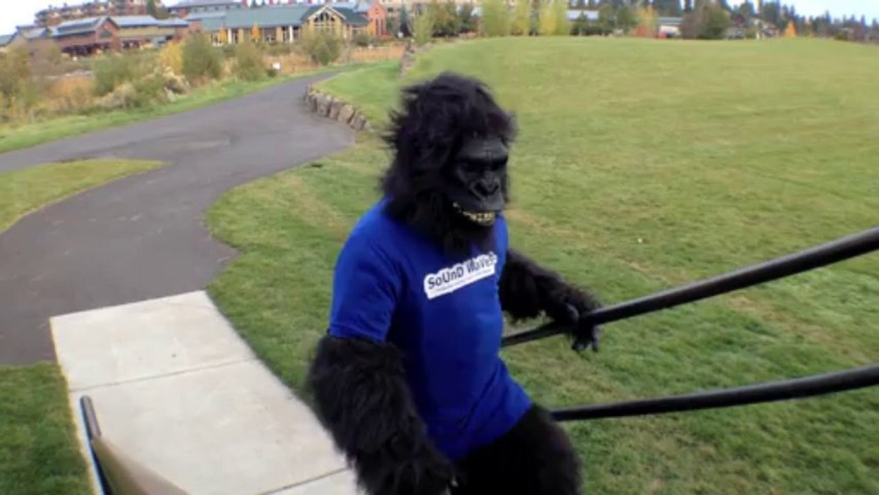 We're down to get down.::Official Animation Dance Music Video::.