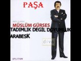 MÜSLÜM GÜRSES ANLATAMADIM (DEGİŞİK VERSİYONLU  MÜZİK )