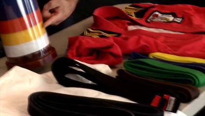 How many belts are in Karate?