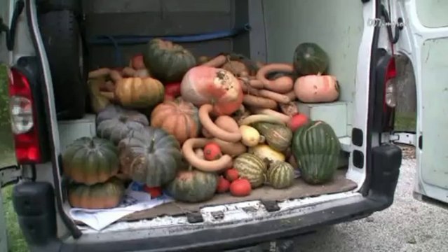 20131012 golfs et courges à Saint Hilaire de Brethmas