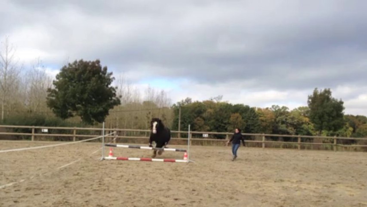 en l octobre 2013