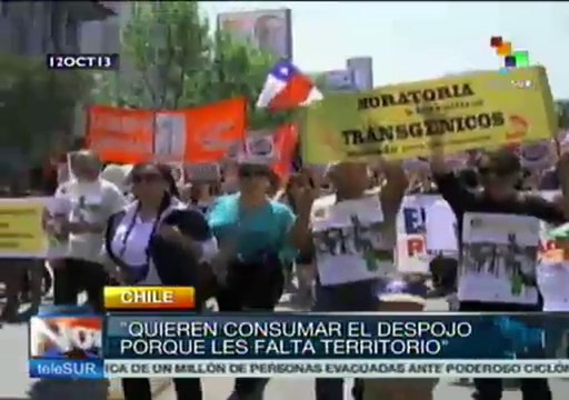 Chile: indígenas mapuches protestan contra despojo de tierras