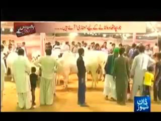 Bhais Badal Kay - 13th October 2013