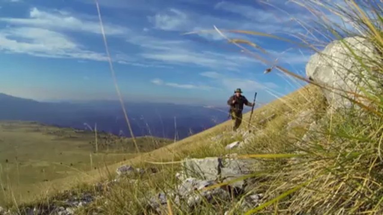За кози в Караджица