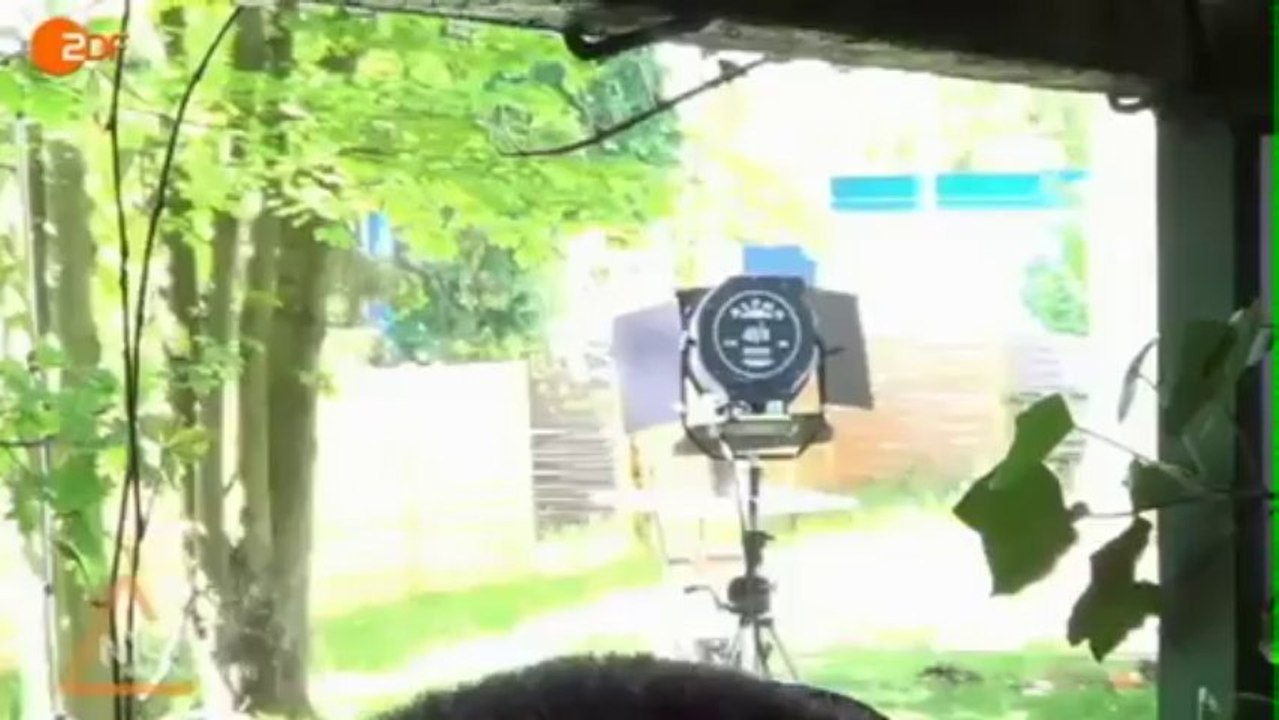 'Nicht nachmachen!': Ein Blick hinter die Kulissen (29.06.2012, um 22:30 Uhr) - ZDF