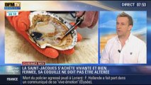 Cuisinez-moi: la pêche à la saint-jacques en Normandie - 13/10