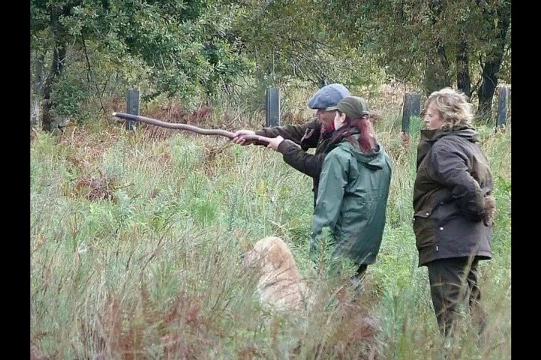 Field_Marcheprime_2013