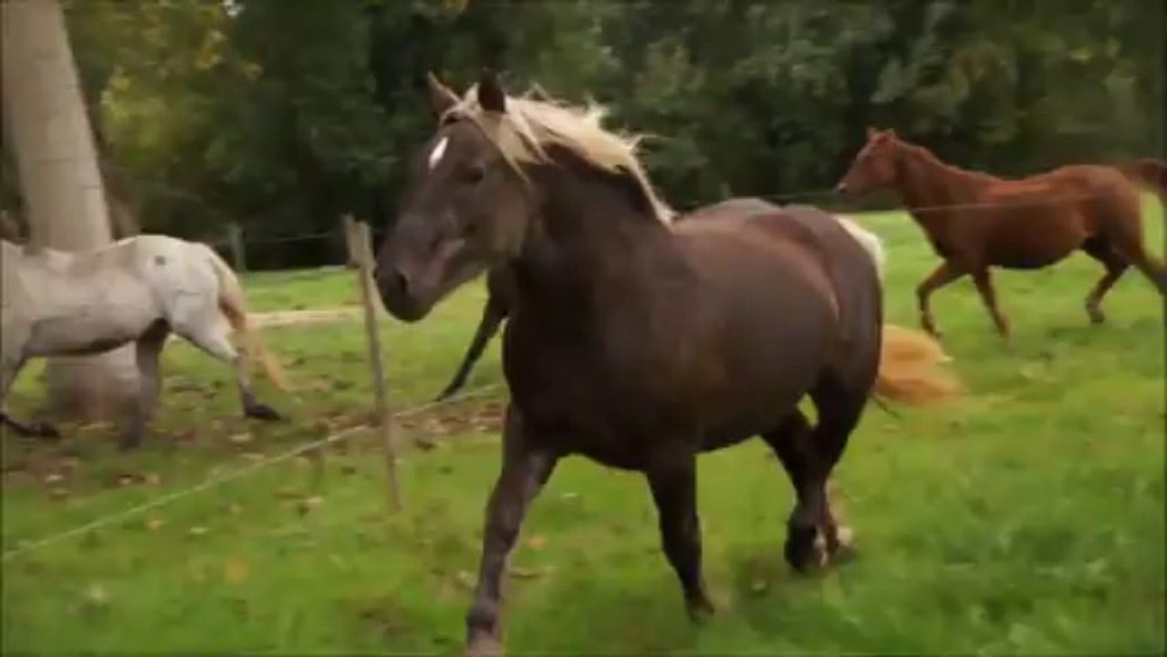 changmt de pré 2013