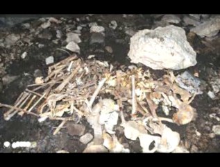 Dışişleri Bakanı Çağlayangil : Dersimde Ordu zehirli Gaz kullandı. Bunları fare gibi zehirledi. Yediden yetmişe