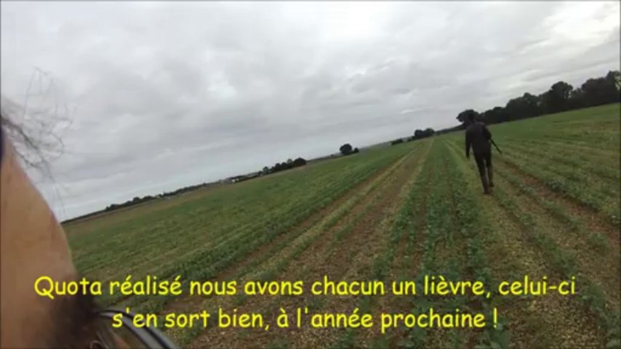 Ouverture du lièvre 2013