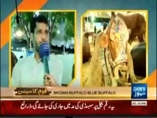 Qaum Ka Sense - 13th October 2013