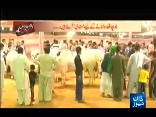 Bhais Badal Kay - 13th October 2013 (( 13 Oct 2013 ) Full Crime Show on Dawn News