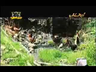 Geo Ajooba  -13th October 2013 (( 13 Oct 2013 )  Garam Chashma  Full On GeoNews