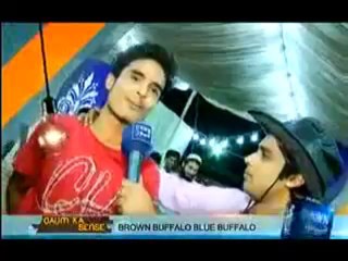 Quam Ka Sense - 13th October 2013 (( 13 Oct 2013 ) Full Entertainment Show on Dawn News