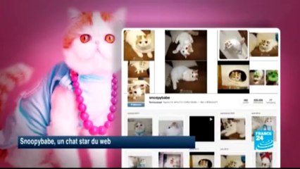 SUR LE NET - Pérou : l’ex-président Fujimori tweete depuis sa prison