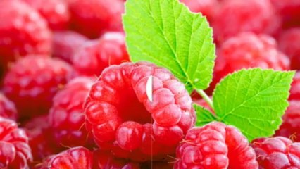 จนท.กาชาดสากลถูก 'ลักพาตัว' ในซีเรีย