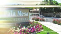 Pala Mesa Apartments in Mesa, AZ - ForRent.com