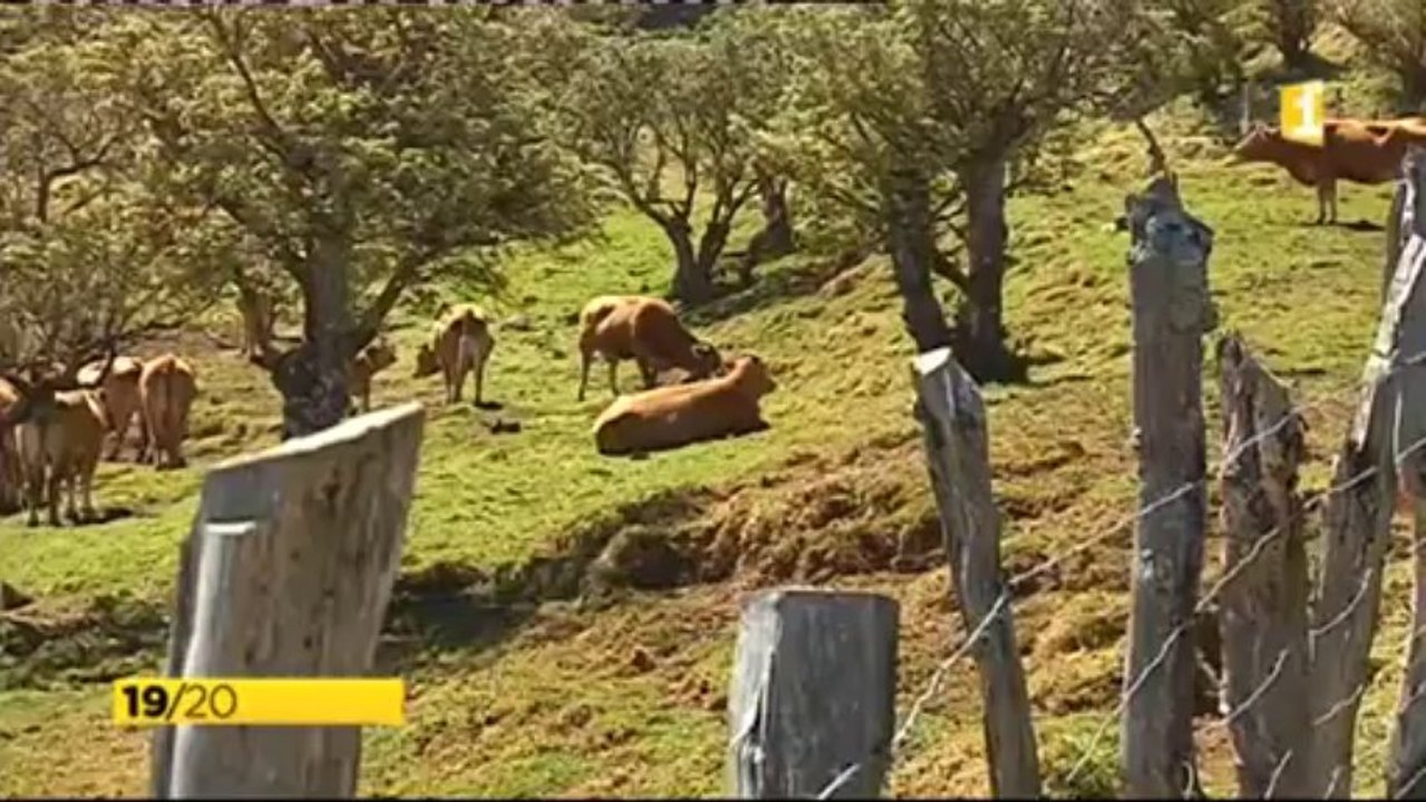 Echelles de berger - Grand Raid 2013