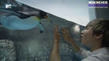 131007「D'splay」 Returns #1