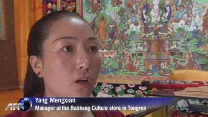 Conflict and clashes over China's prized caterpillar fungus