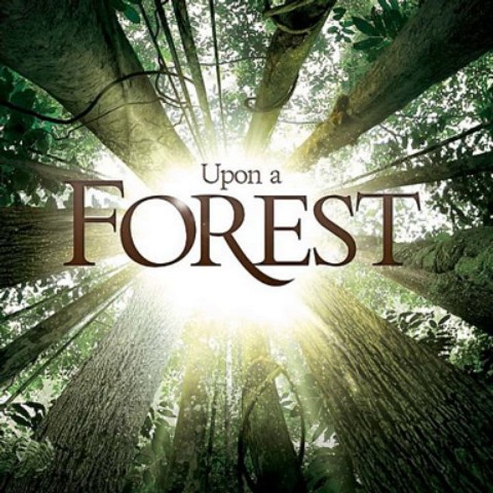 Emily Loizeau - Upon A Forest (extrait)
