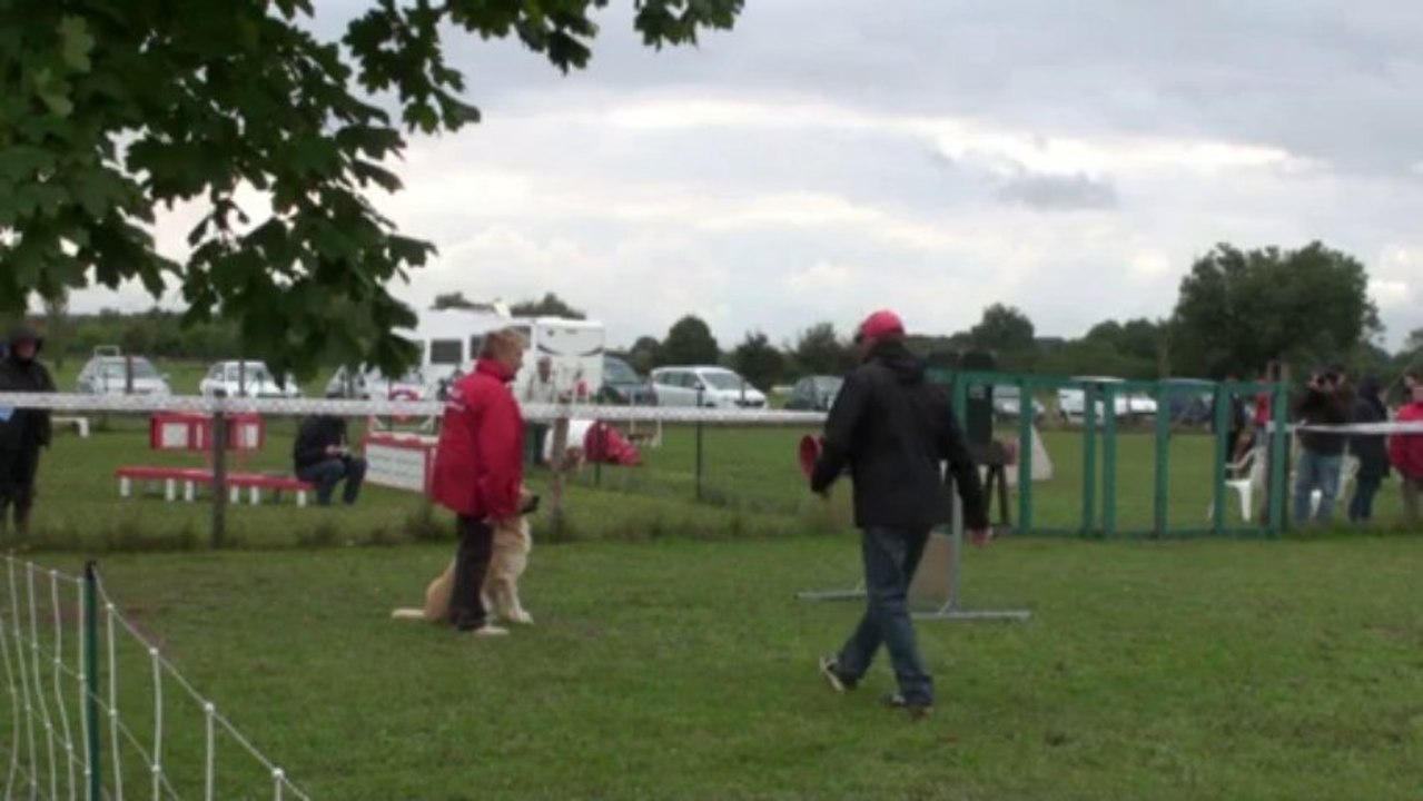 Concours d'obéissance AUC Saint-Cyr Half passe le brevet